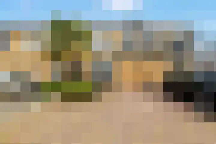 Kievit 136 Oss thumbnail 5