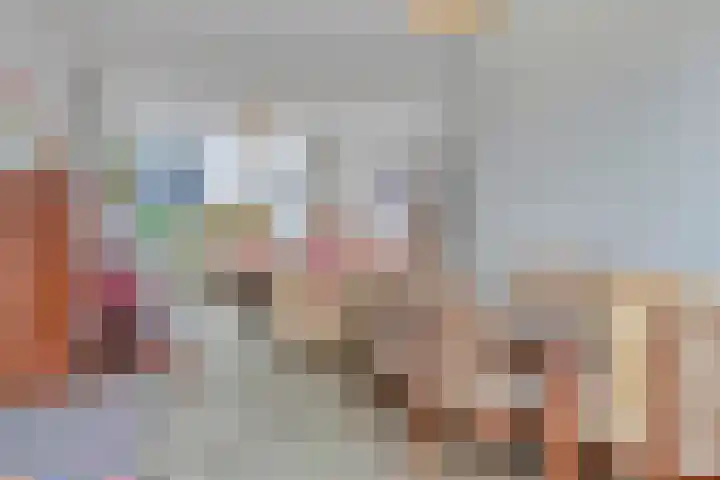 Kievit 14 Gouderak thumbnail 10