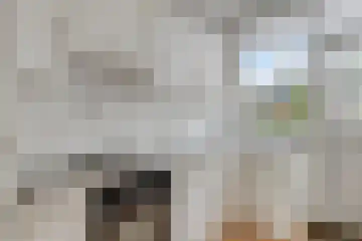 Kievit 14 Gouderak thumbnail 11