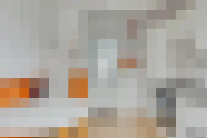 Kievit 14 Gouderak thumbnail 13