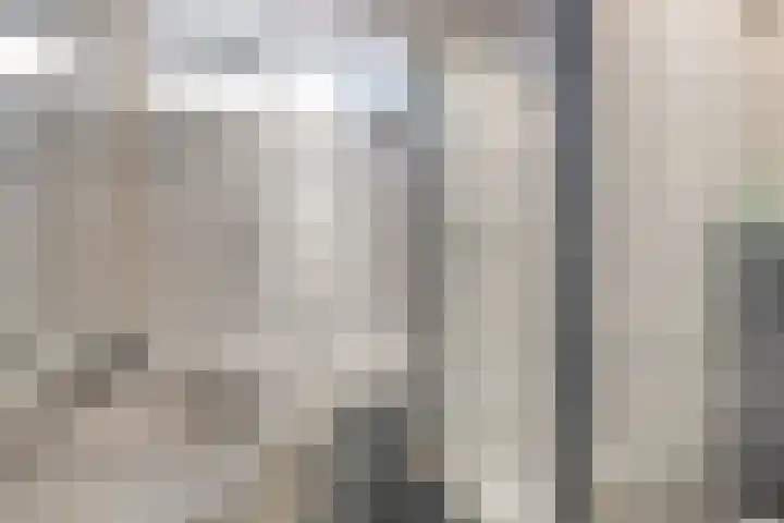Kievit 14 Gouderak thumbnail 21