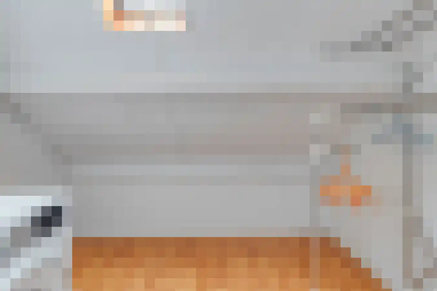 Kievit 14 Gouderak thumbnail 25