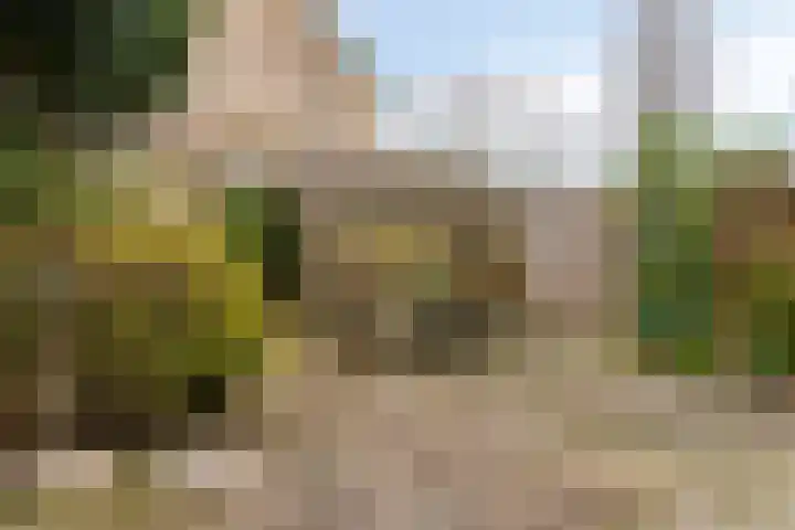 Kievit 14 Gouderak thumbnail 28