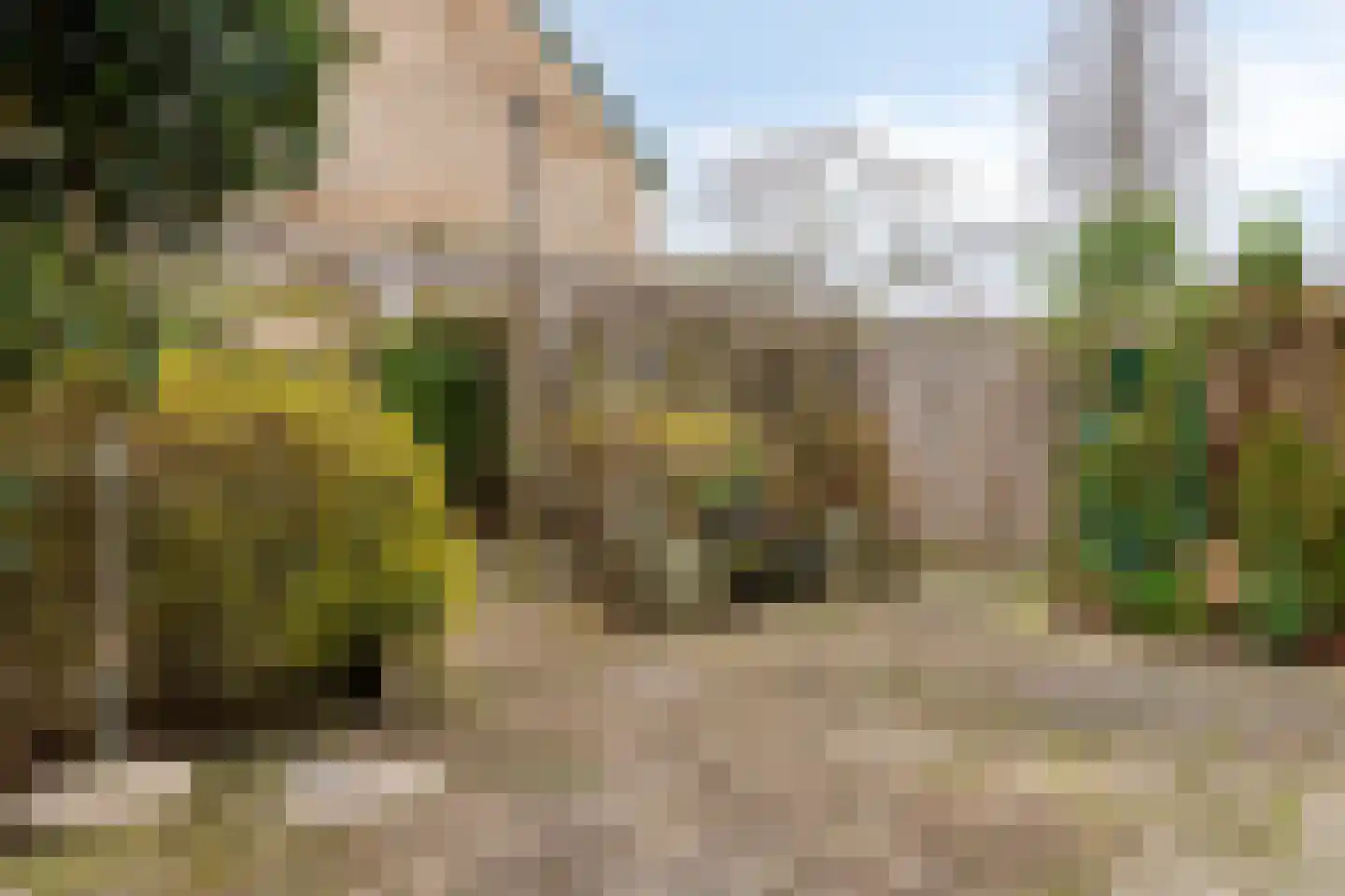 Kievit 14 Gouderak thumbnail 28