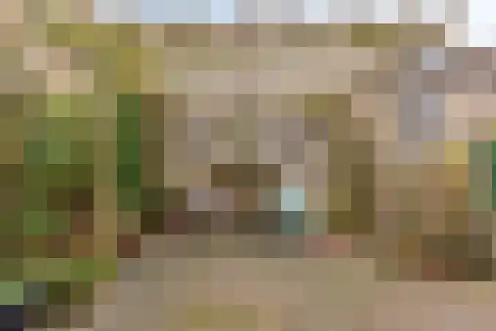 Kievit 14 Gouderak thumbnail 29