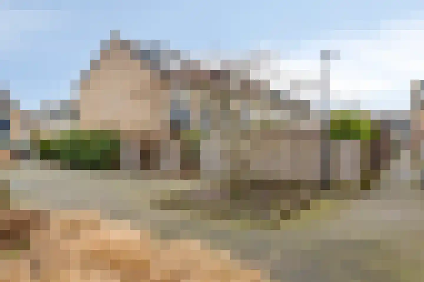 Kievit 14 Gouderak thumbnail 31