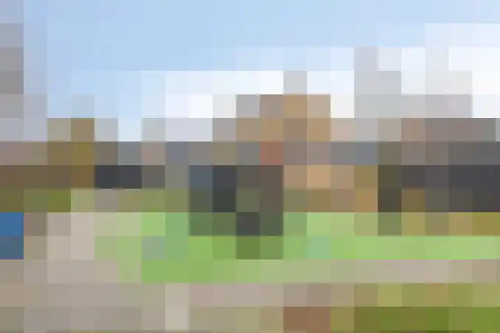 Kievit 14 Gouderak thumbnail 32