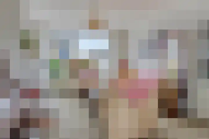 Kievit 14 Gouderak thumbnail 6