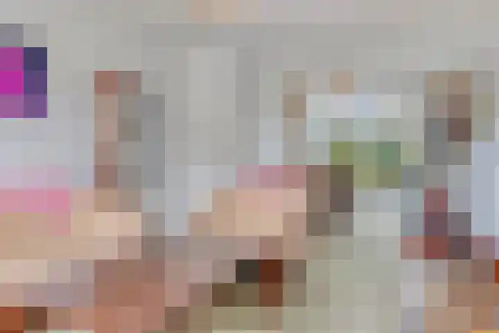 Kievit 14 Gouderak thumbnail 7