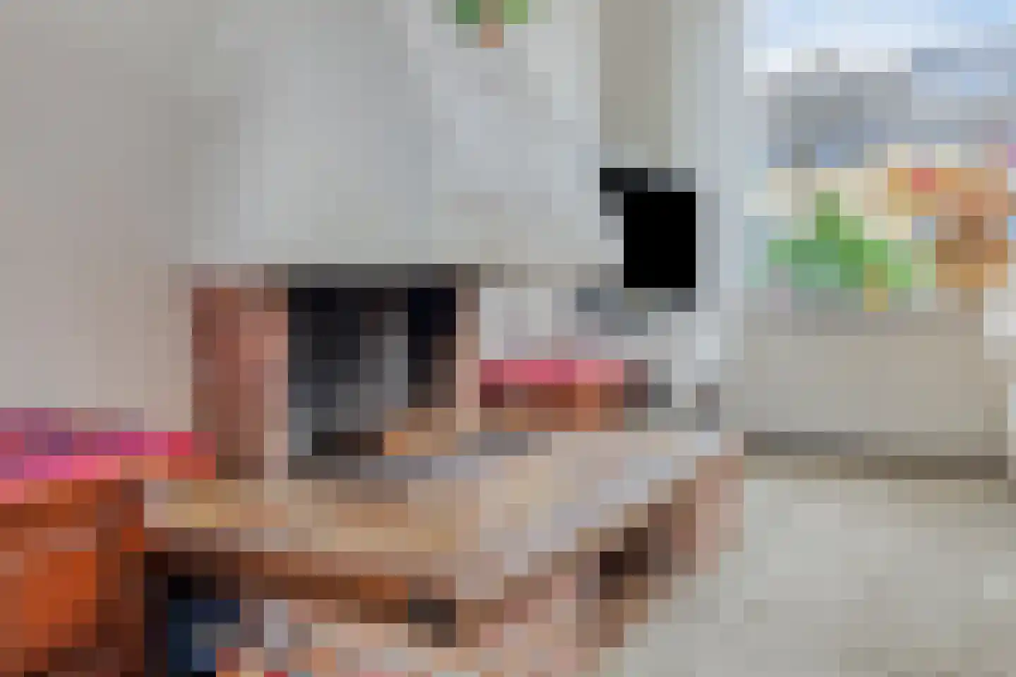 Kievit 14 Gouderak thumbnail 8