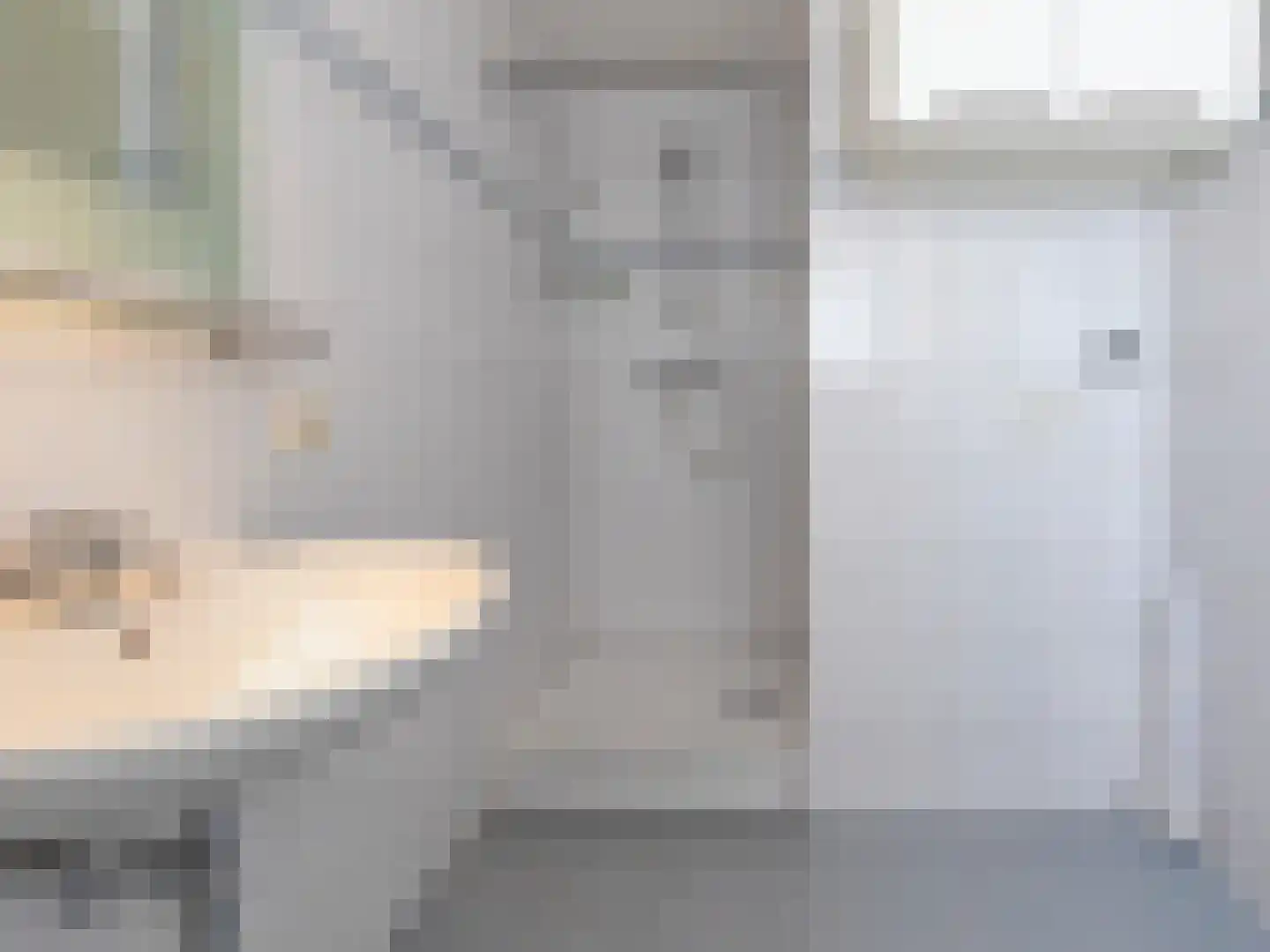 Kievit 14 Leimuiden thumbnail 23
