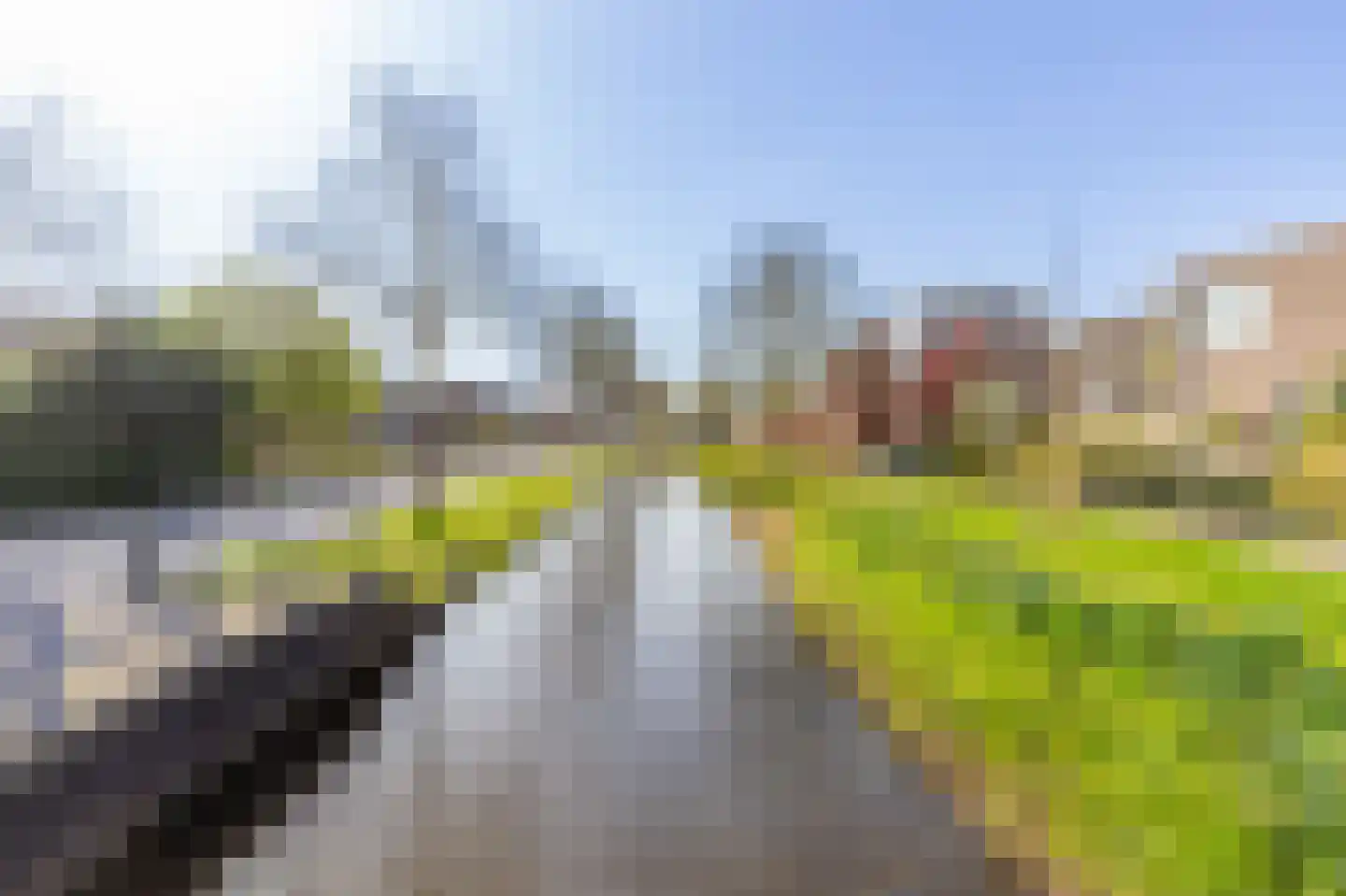 Kievit 14 Leimuiden thumbnail 28