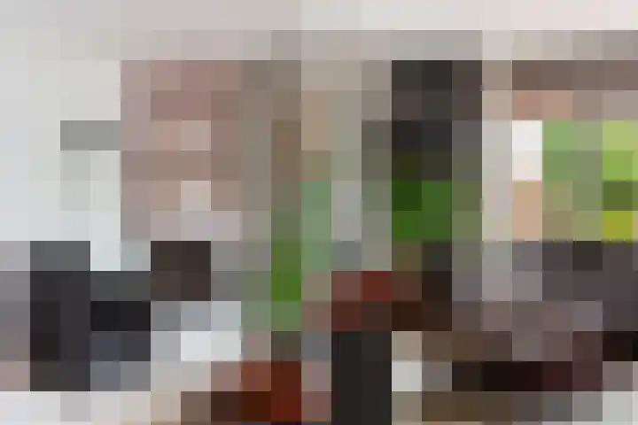 Kievit 15 Oud-Beijerland thumbnail 14