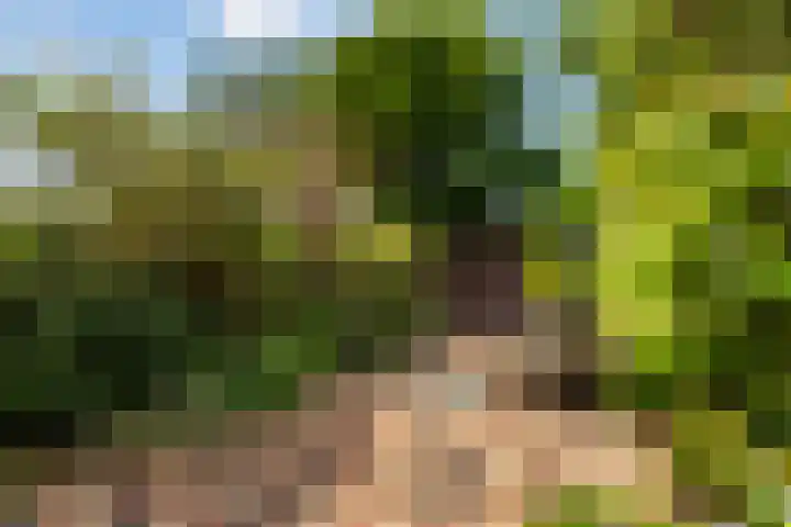 Kievit 15 Oud-Beijerland thumbnail 15