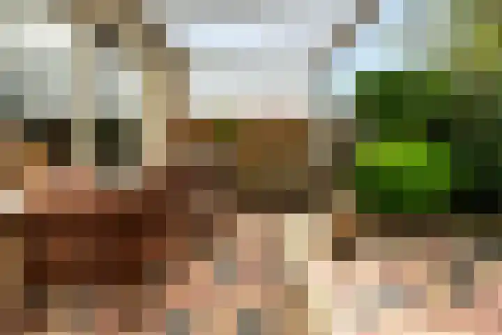 Kievit 15 Oud-Beijerland thumbnail 17
