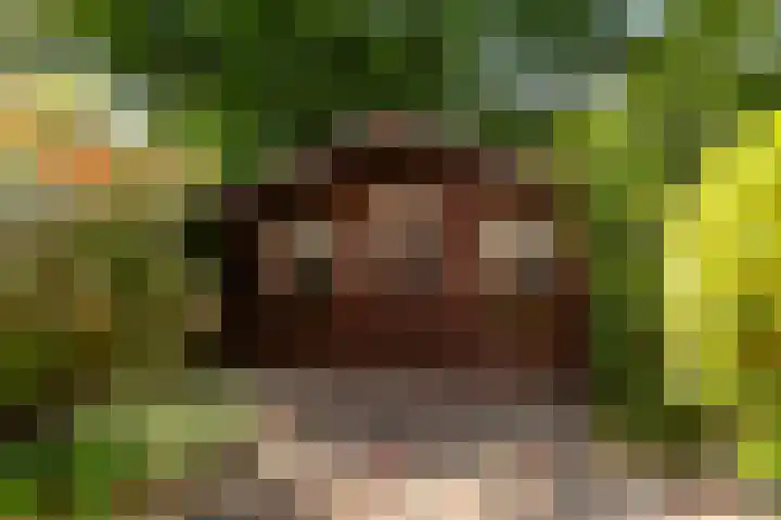 Kievit 15 Oud-Beijerland thumbnail 19