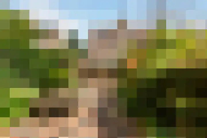 Kievit 15 Oud-Beijerland thumbnail 20