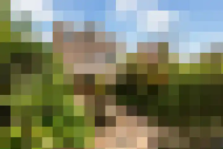 Kievit 15 Oud-Beijerland thumbnail 21