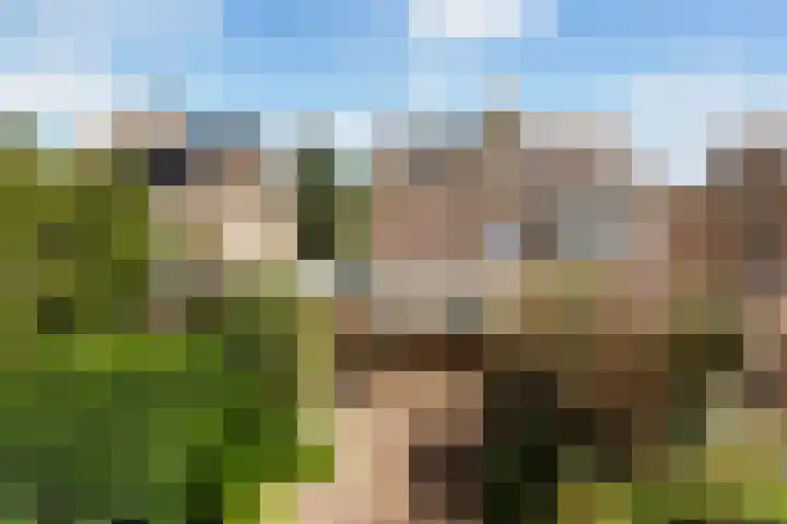 Kievit 15 Oud-Beijerland thumbnail 23