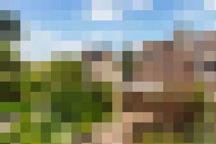 Kievit 15 Oud-Beijerland thumbnail 24