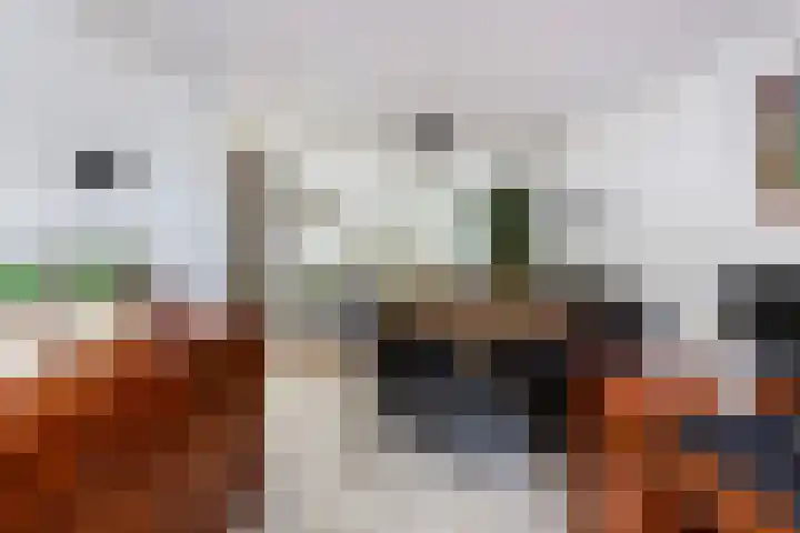 Kievit 15 Oud-Beijerland thumbnail 26