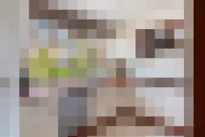 Kievit 15 Oud-Beijerland thumbnail 27