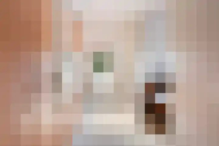 Kievit 15 Oud-Beijerland thumbnail 30