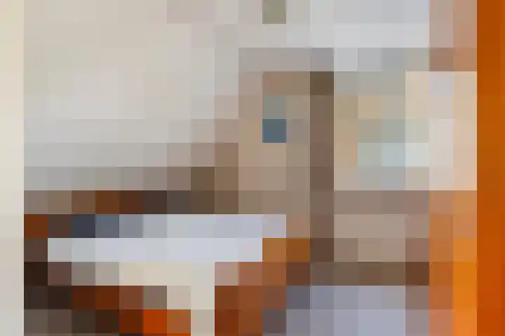 Kievit 15 Oud-Beijerland thumbnail 31