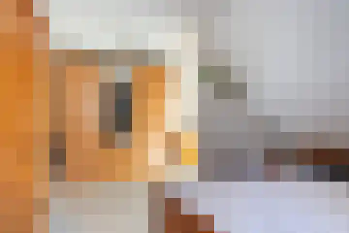 Kievit 15 Oud-Beijerland thumbnail 32