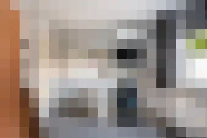 Kievit 15 Oud-Beijerland thumbnail 35