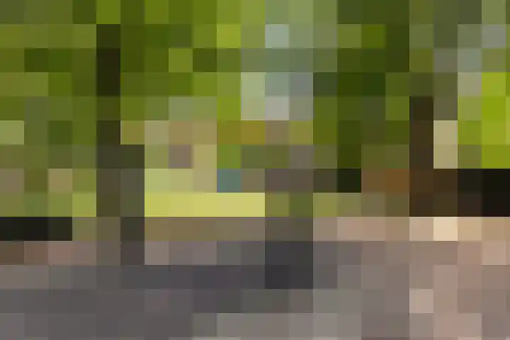 Kievit 15 Oud-Beijerland thumbnail 39