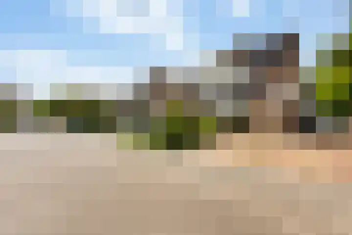 Kievit 15 Oud-Beijerland thumbnail 4