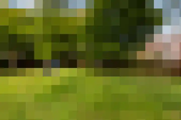 Kievit 15 Oud-Beijerland thumbnail 40