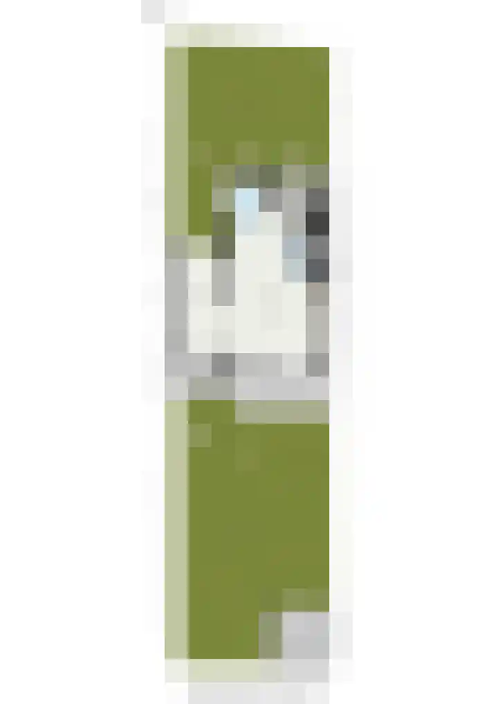 Kievit 15 Oud-Beijerland thumbnail 45