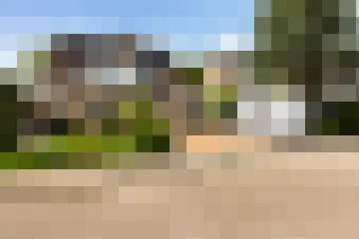 Kievit 15 Oud-Beijerland thumbnail 5