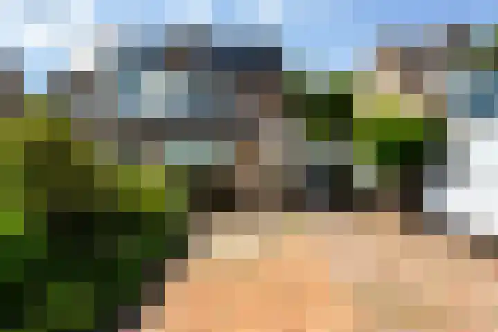 Kievit 15 Oud-Beijerland thumbnail 6
