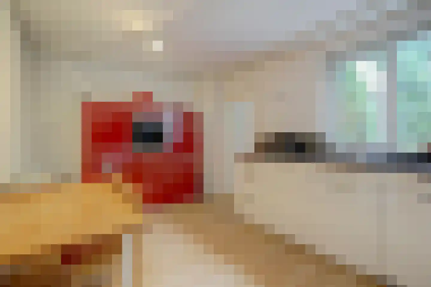 Kievit 16 Deventer thumbnail 17