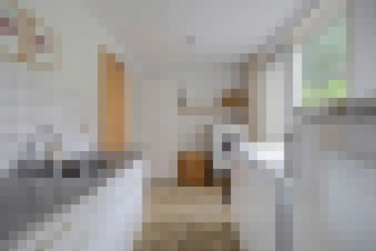 Kievit 16 Deventer thumbnail 22