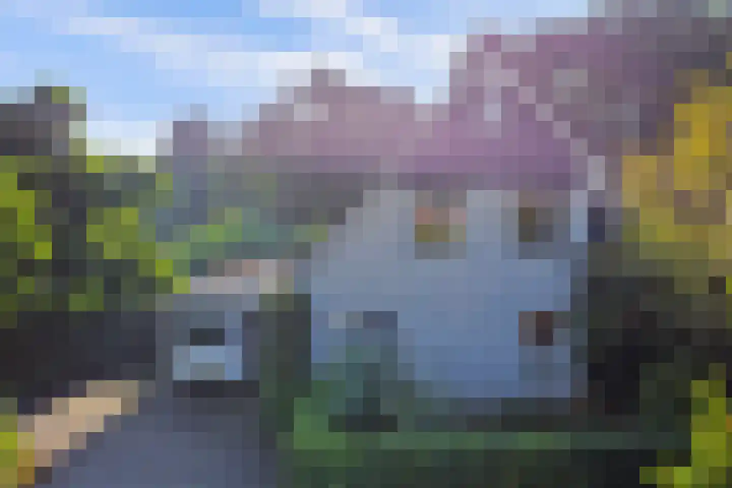 Kievit 16 Deventer thumbnail 48
