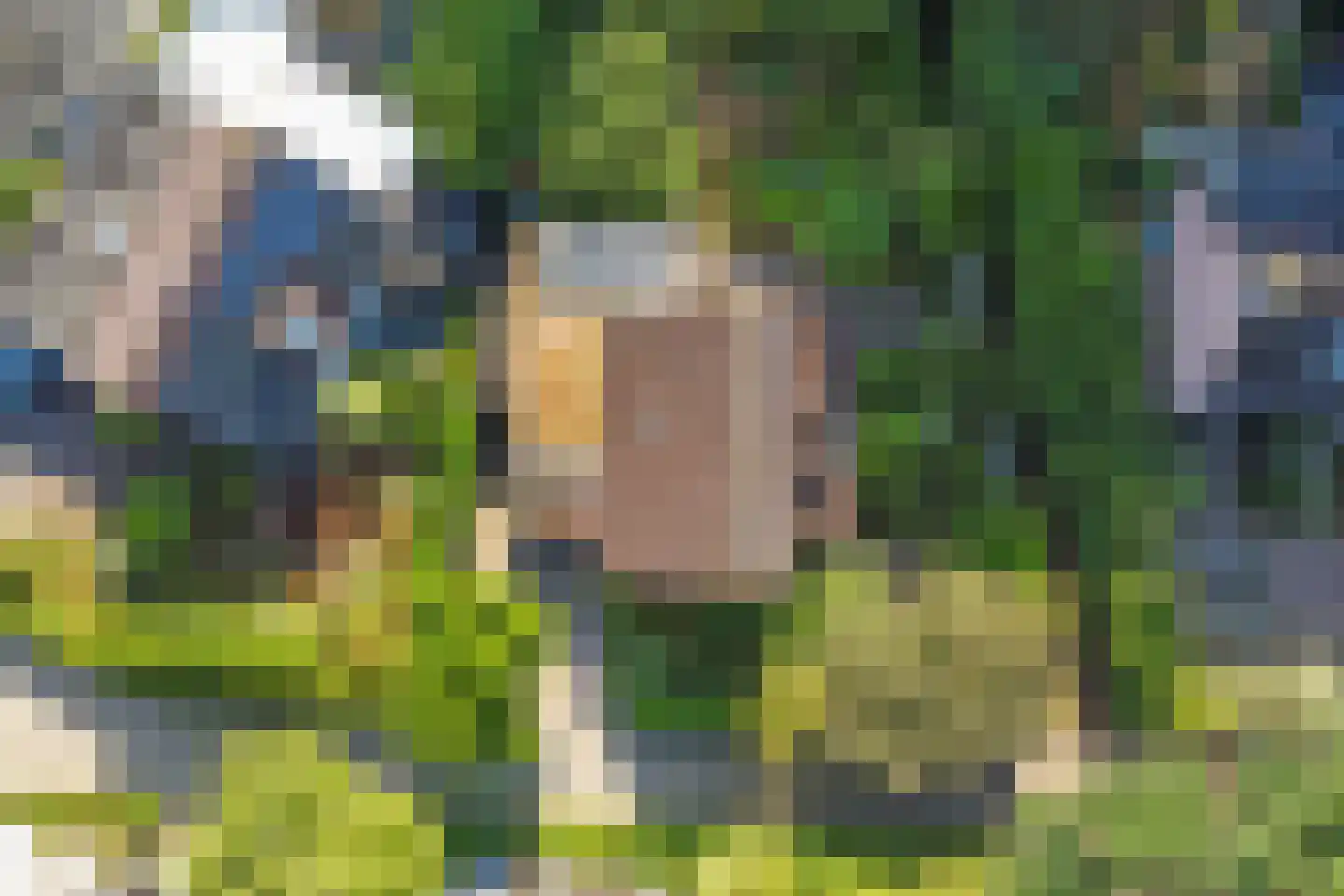 Kievit 16 Deventer thumbnail 53