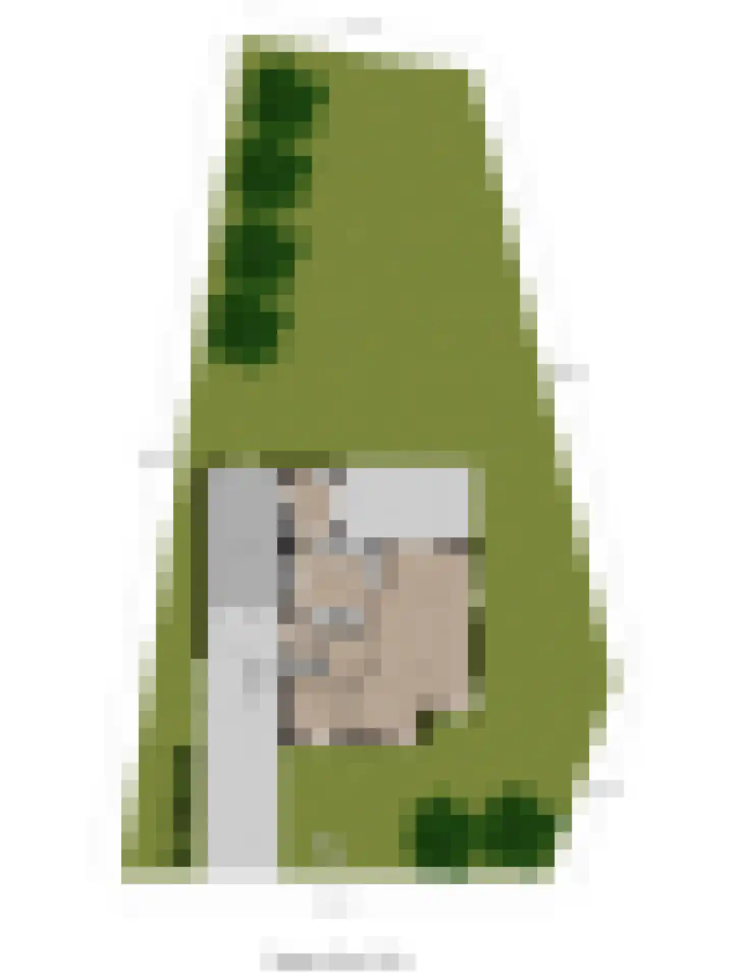 Kievit 16 Deventer thumbnail 65