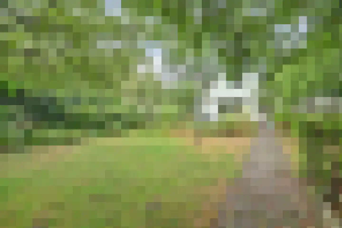 Kievit 16 Deventer thumbnail 7