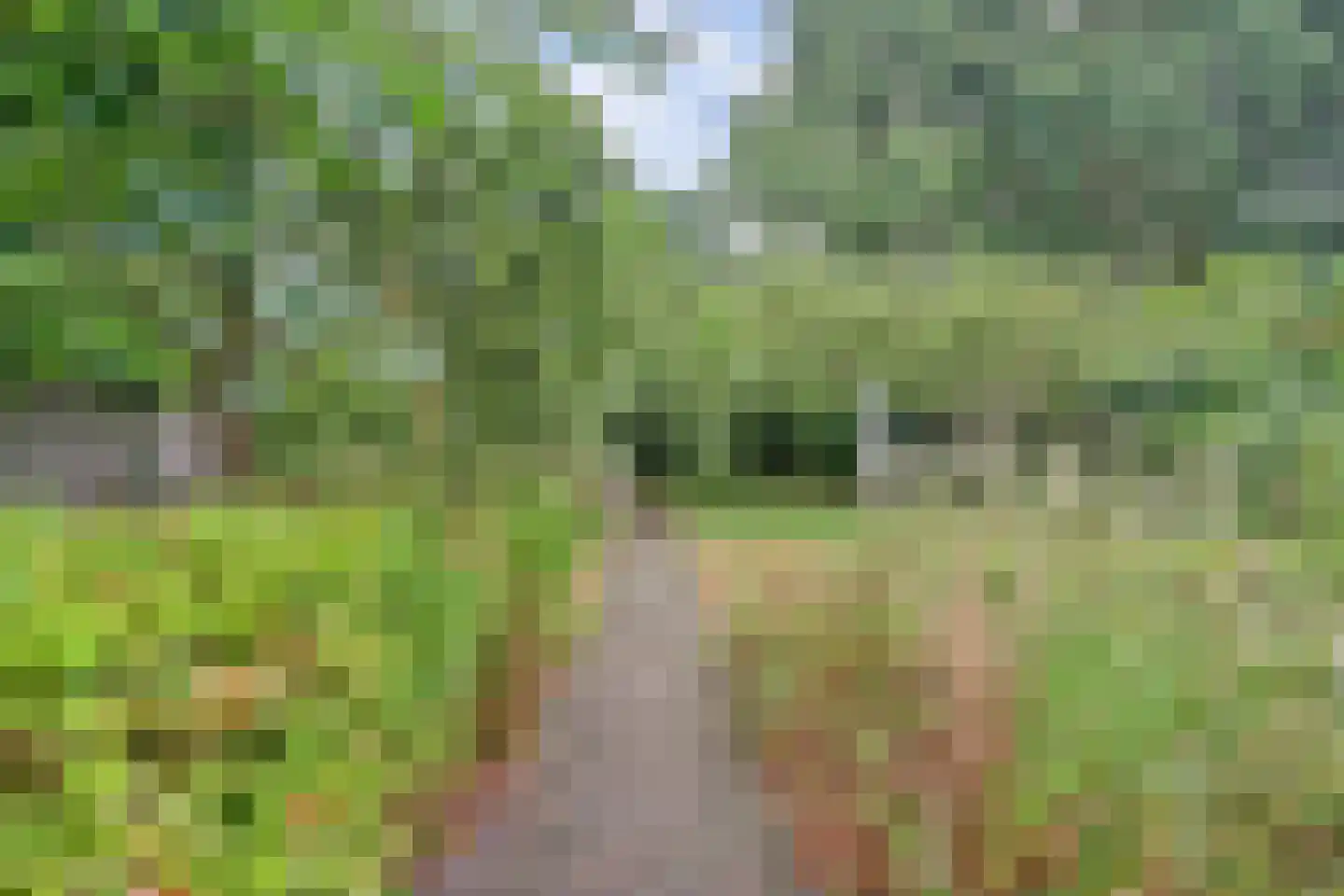 Kievit 16 Deventer thumbnail 8