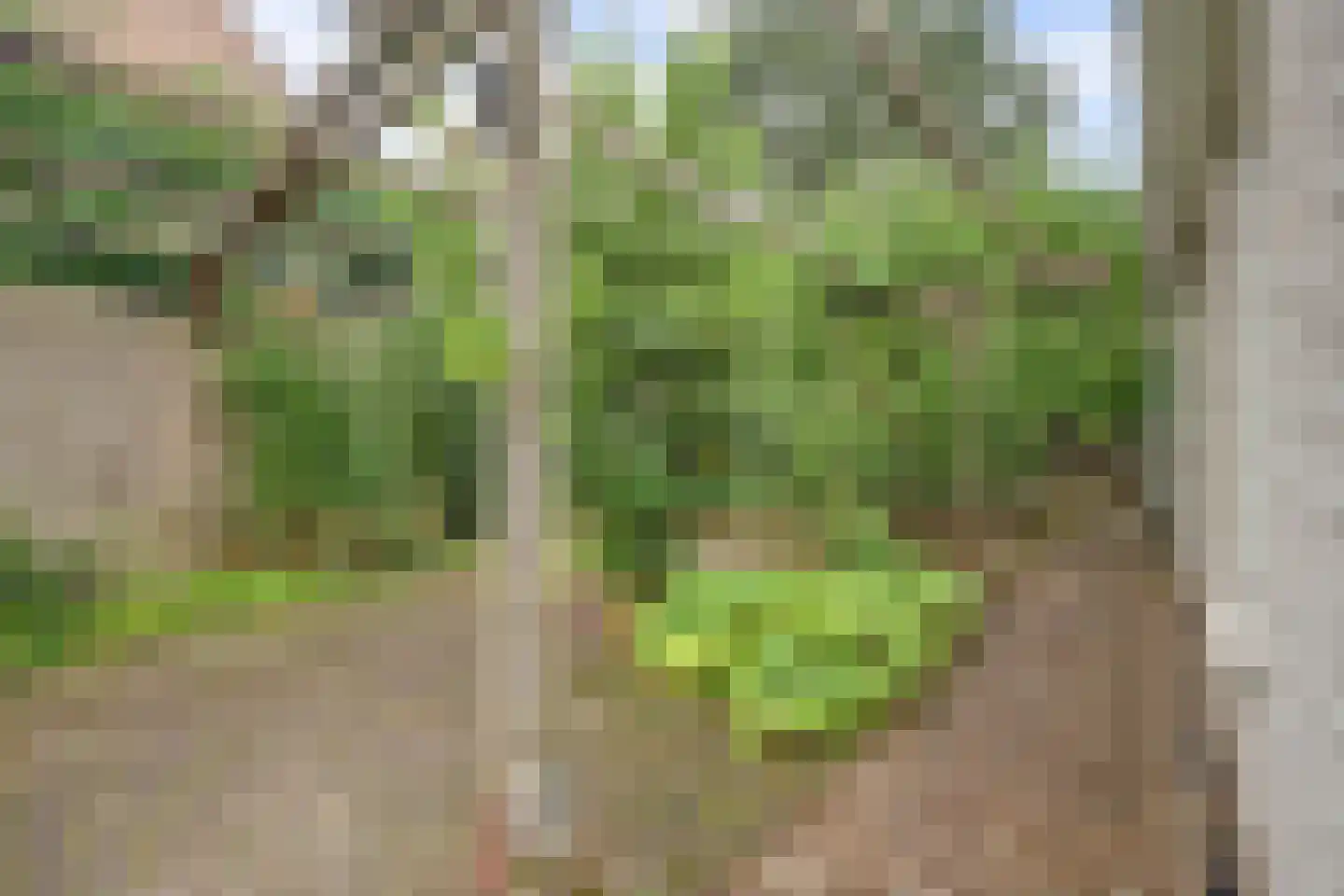 Kievit 16 Deventer thumbnail 9