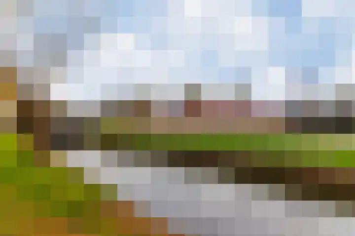 Kievit 17 Hardinxveld-Giessendam thumbnail 48