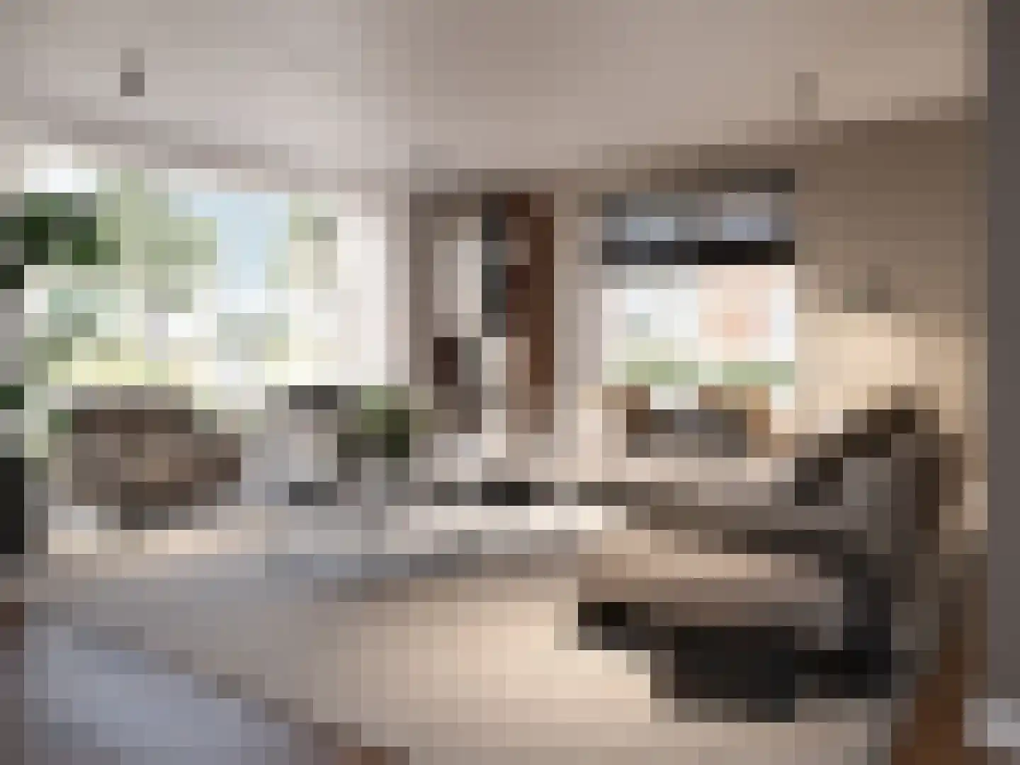 Kievit 19 Blauwestad foto 2