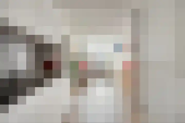 Kievit 2 De Lier thumbnail 10