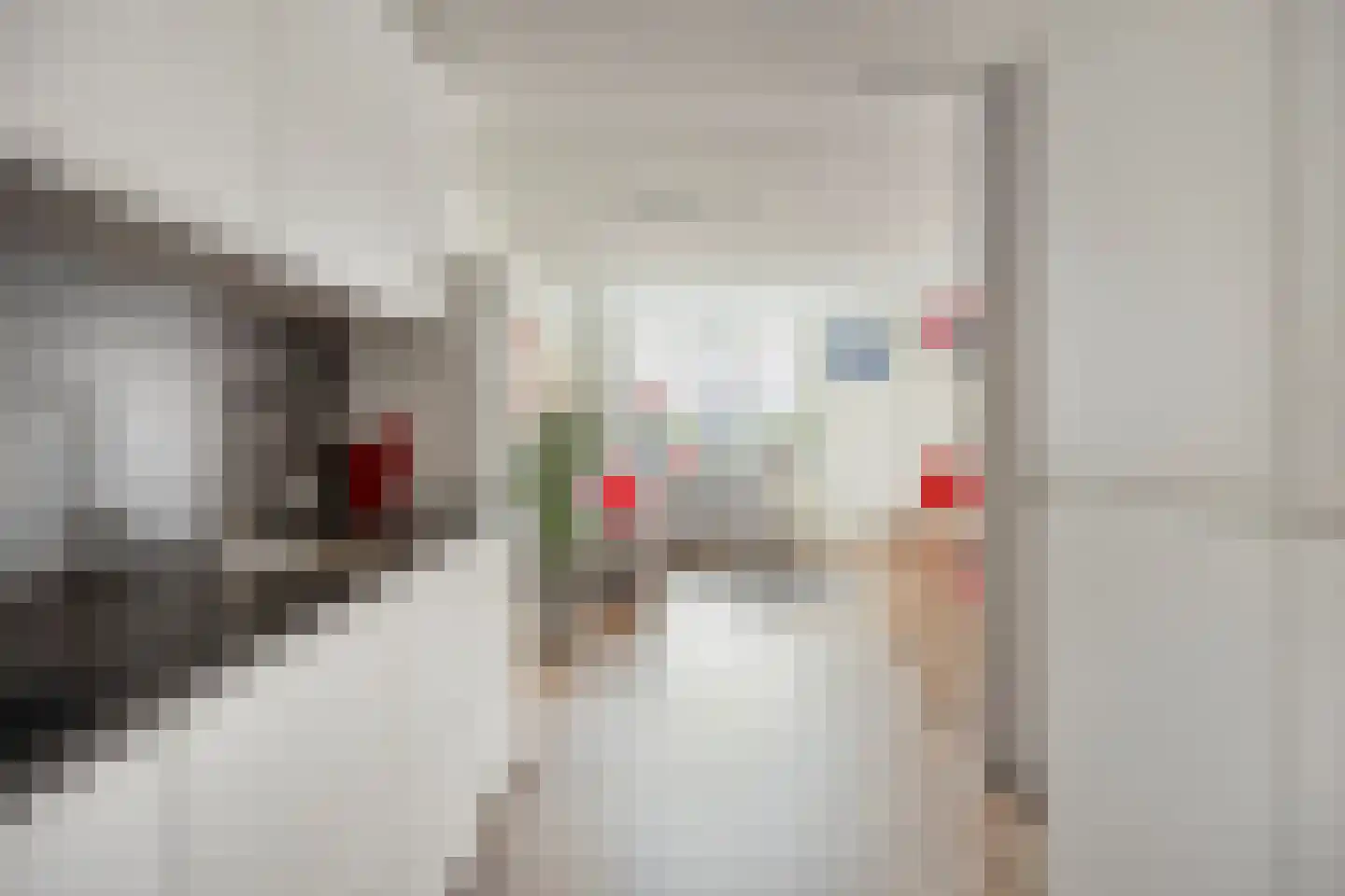 Kievit 2 De Lier thumbnail 10