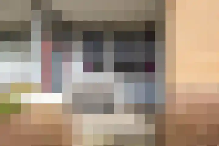 Kievit 2 De Lier thumbnail 13