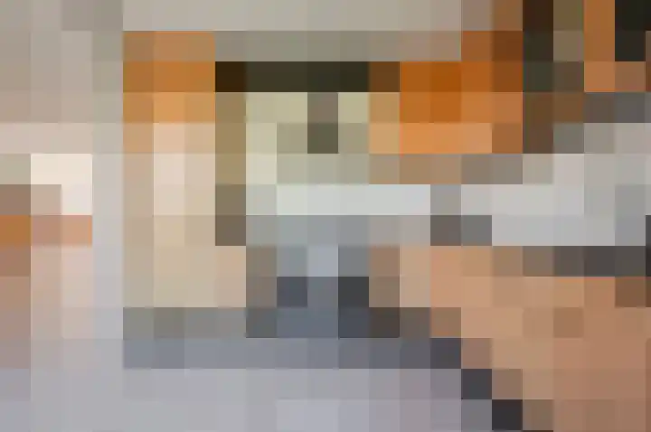 Kievit 2 Elburg thumbnail 10